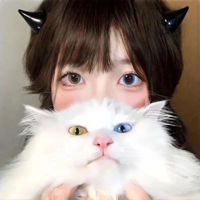 寻找完美情人 在线观看
